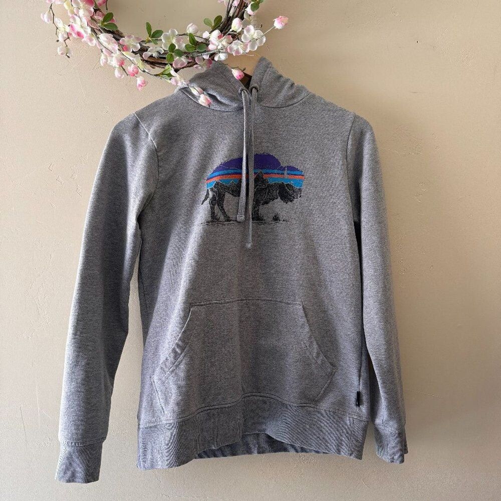 Patagonia Pullover Hoodie Buffalo Gray Size XS